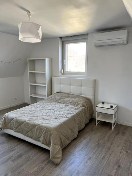 Appartement F5 Maison De Maitre Mulhouse Dış mekan fotoğraf