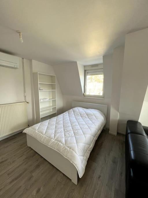 Appartement F5 Maison De Maitre Mulhouse Dış mekan fotoğraf