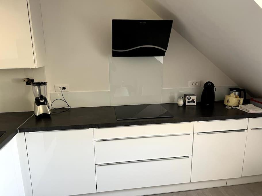 Appartement F5 Maison De Maitre Mulhouse Dış mekan fotoğraf