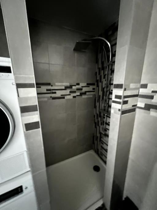 Appartement F5 Maison De Maitre Mulhouse Dış mekan fotoğraf