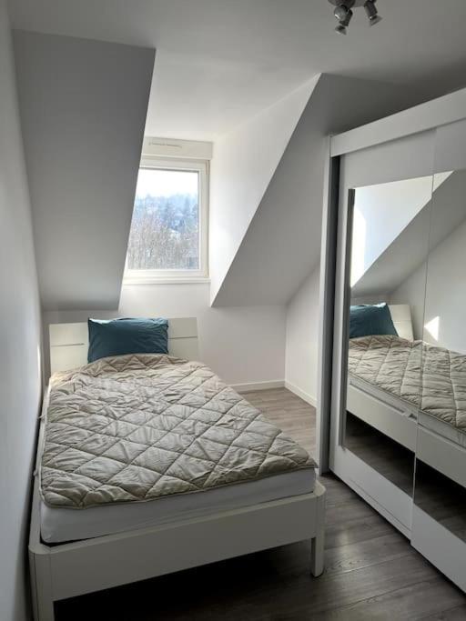 Appartement F5 Maison De Maitre Mulhouse Dış mekan fotoğraf