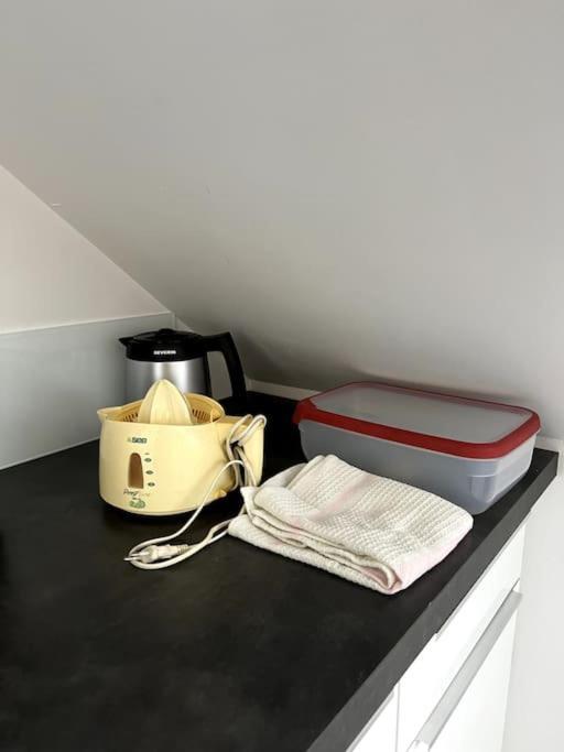 Appartement F5 Maison De Maitre Mulhouse Dış mekan fotoğraf