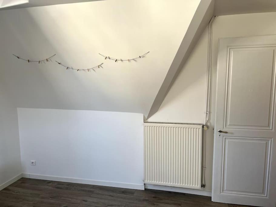 Appartement F5 Maison De Maitre Mulhouse Dış mekan fotoğraf