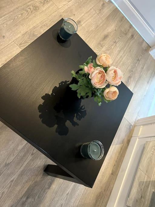 Appartement F5 Maison De Maitre Mulhouse Dış mekan fotoğraf