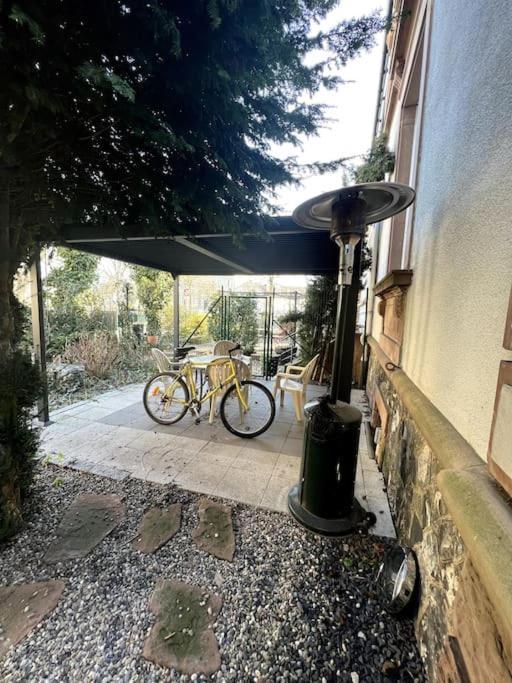 Appartement F5 Maison De Maitre Mulhouse Dış mekan fotoğraf