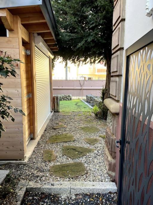 Appartement F5 Maison De Maitre Mulhouse Dış mekan fotoğraf