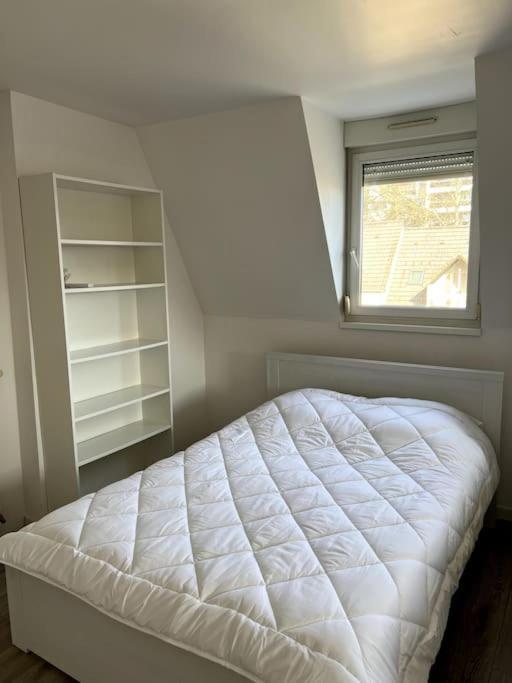 Appartement F5 Maison De Maitre Mulhouse Dış mekan fotoğraf