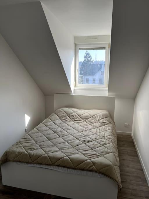 Appartement F5 Maison De Maitre Mulhouse Dış mekan fotoğraf