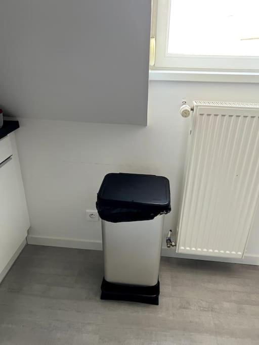 Appartement F5 Maison De Maitre Mulhouse Dış mekan fotoğraf