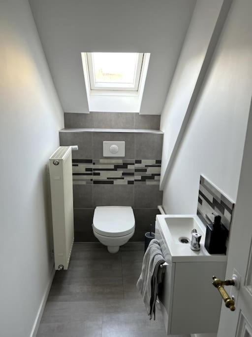 Appartement F5 Maison De Maitre Mulhouse Dış mekan fotoğraf