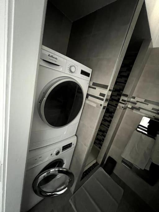 Appartement F5 Maison De Maitre Mulhouse Dış mekan fotoğraf